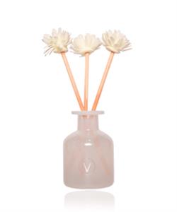 Parfum d'Ambiance avec Diffuseur Naturel - Aloe Spa